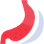 bariatric surgery
