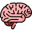 Home brain
