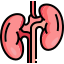 Home kidney