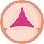 aortic valve