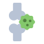 Cancer / Oncology bone cancer