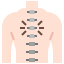 chiropractic