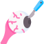 cornea