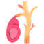 Gastroenterology & Nephrology gallbladder