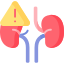 Gastroenterology & Nephrology kidney
