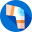 knee
