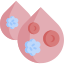 BMT - Bone Marrow Transplant leukemia