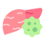 Cancer / Oncology liver cancer