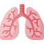 lung