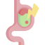 Gastroenterology & Nephrology ulcer